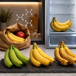 ChatGPT AI Image Prompts